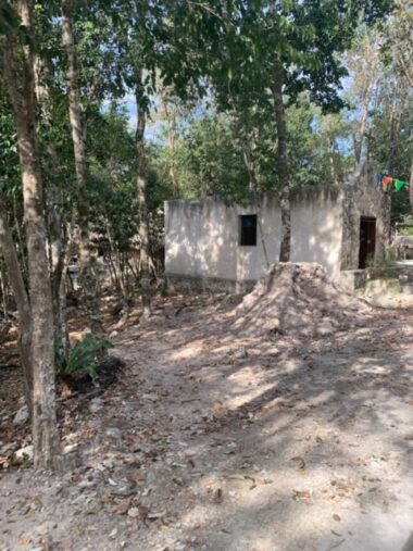 Mayan homes on the way to Cenote Dos Ojos